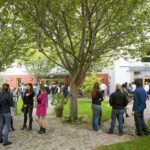 Il giardino del campus Palmerston Park della scuola di lingue Emerald Cultural Institute