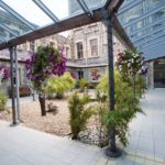 Il giardino del campus Marino Institute of Education della scuola di lingue Emerald Cultural Institute