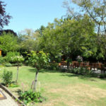 Il giardino della Wimbledon School of English 