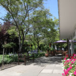 Il giardino della Wimbledon School of English 