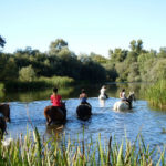 Gli studenti del Colegio de España a cavallo