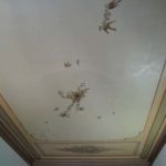 The original painted ceiling of a classroom at the Institut Linguistique Adenet in Montpellier