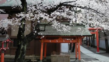 study learn Japanese language courses abroad in Tokyo Japan at Genki Tokyo school