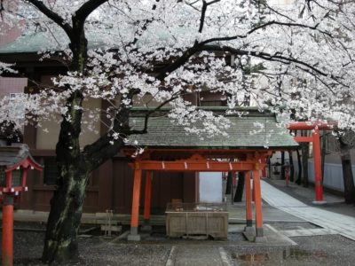 study learn Japanese language courses abroad in Tokyo Japan at Genki Tokyo school