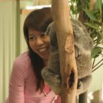 A student of ELC Sydney school with a koala