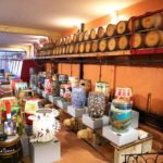 Gli studenti della scuola Institut Adenet and Easy French durante un'attività di degustazione vino