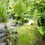 Il giardino della scuola Excel English 