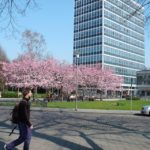 L'edificio della scuola Kapito 