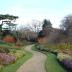 I giardini botanici di Cambridge University
