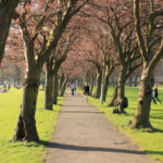 Il parco Meadows a Edimburgo
