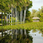 Il giardino della Bonnet House a Fort Lauderdale