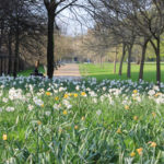 I Giardini di Hyde Park and Kensington di Londra, Regno Unito