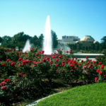 Il roseto dentro il parco delle esposizioni 