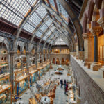Il Museo di Storia Naturale dell'Università di Oxford 