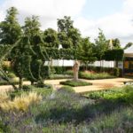Whitgift Summer School garden