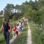 Alphabet International Camp campers go hiking