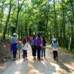 Alphabet International Camp campers go hiking