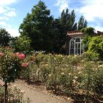 London School of English, Holland Park school garden