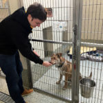 Uno studente di FLS International Boston Commons fa volontariato al HSPCA