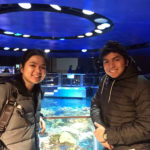 Gli Studenti della FLS International Boston Commons fanno visita all'acquario