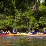 Gli studenti della Rennert International di Miami fanno kayaking