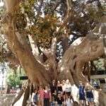 Españolé IH Valencia students tour the city