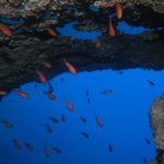 Immersione subacquea al Reqqa Point Gozo, Malta