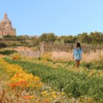 Fields by Ta Pinu church in Gozo, Malta