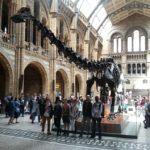 Una visita ad un museo di Londra