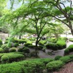 The Nihon-teien Japanese garden in Fukuoka