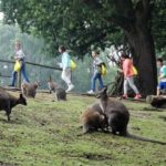 Gli studenti del St. Edmund's College Summer School durante una visita allo zoo