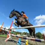Horse Riding Academy