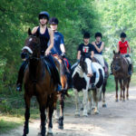 Horse Riding Academy