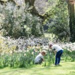 Il giardino botanico di Bath, Inghilterra