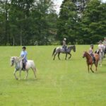 French Woods summer camp horse riding lessons