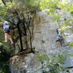 LINES Valbonne French Summer Program students on a ropes course