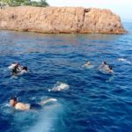 LINES Valbonne French Summer Program students go swimming in the sea
