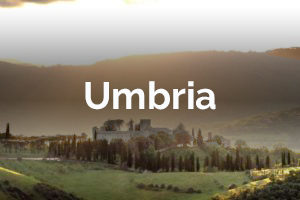 campo-centro-estivo-internazionale-in-inglese-alphabet-camps-per-bambini-e-ragazzi-a-todi-casal-cerqueto-in-umbria-italia