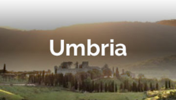 campo-centro-estivo-internazionale-in-inglese-alphabet-camps-per-bambini-e-ragazzi-a-todi-casal-cerqueto-in-umbria-italia