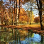 Il bellissimo Englischer Garten di Monaco di Baviera, Germania