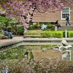 Il Rennert Summer Plus! New York Brooklyn College - New York, USA