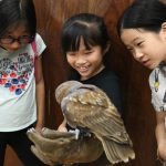 Summer Boarding Courses Oxford Summer School students go on an excursion