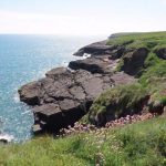 La costa tipica intorno a Dunmore East, Irlanda