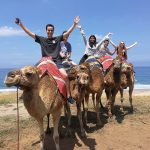 Gli studenti del programma per ragazzi CLIC Cádiz sui cammelli durante una gita in Marocco