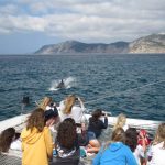 Gli studenti dei Village Camps Santa Cruz durante una sessione di osservazione dei delfini