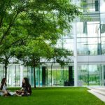 Julian Krinsky Yale University Summer Academy campus