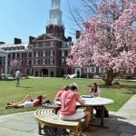 Julian Krinsky Yale University Summer Academy students enjoy free time on campus