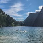 Gli studenti del Campo Estivo Les Elfes nuotano