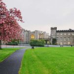 Il campus estivo della ICE Clongowes Wood