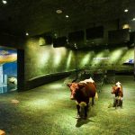 La Hohe Tauern National Park Gallery - Zell am See, Austria